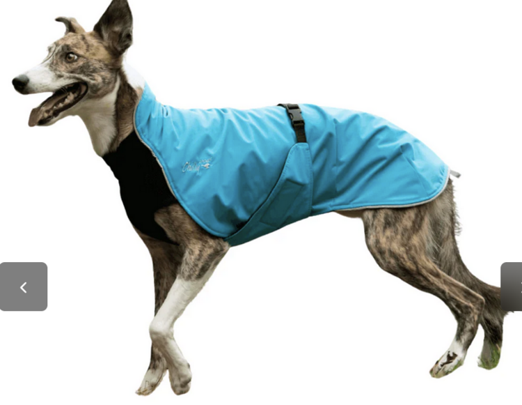 Chilly Dogs Chilly Dogs - Alpine Blazer 3 Season - Standard - 16 - Turquoise