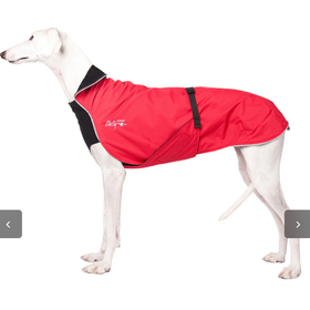 Chilly Dogs Chilly Dogs - Alpine Blazer 3 Season - Standard - 18 - Red
