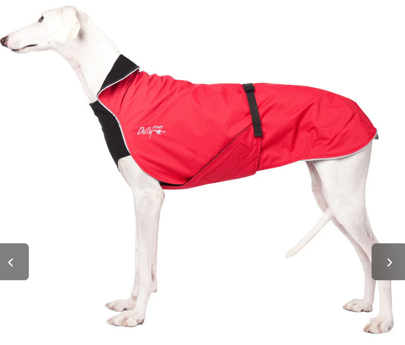 Chilly Dogs Chilly Dogs - Alpine Blazer 3 Season - Standard - 18 - Red