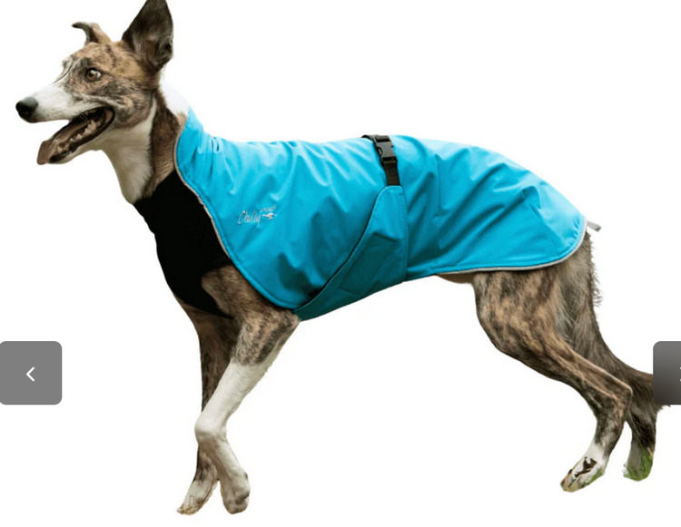 Chilly Dogs Chilly Dogs - Alpine Blazer 3 Season - Standard - 20 - Turquoise