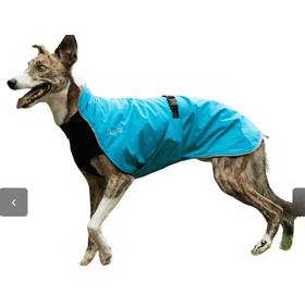 Chilly Dogs Chilly Dogs - Alpine Blazer 3 Season - Standard - 27 - Turquoise