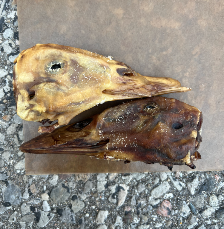 Just Raw Just Raw - Duck Head (1pc)