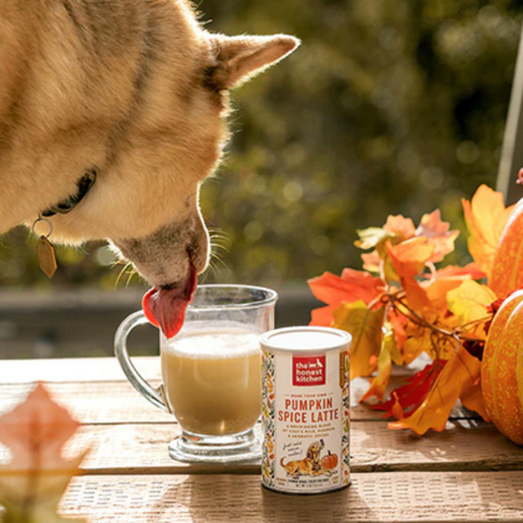 The Honest Kitchen Honest Kitchen - Pumpkin Spice Latte - 4oz