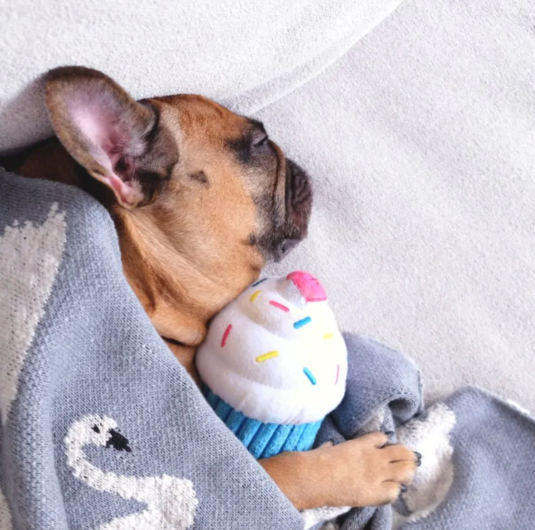 Zippy Paws Zippy Paws - Cupcake - Blue