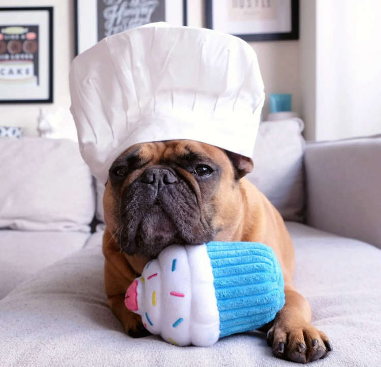 Zippy Paws Zippy Paws - Cupcake - Blue