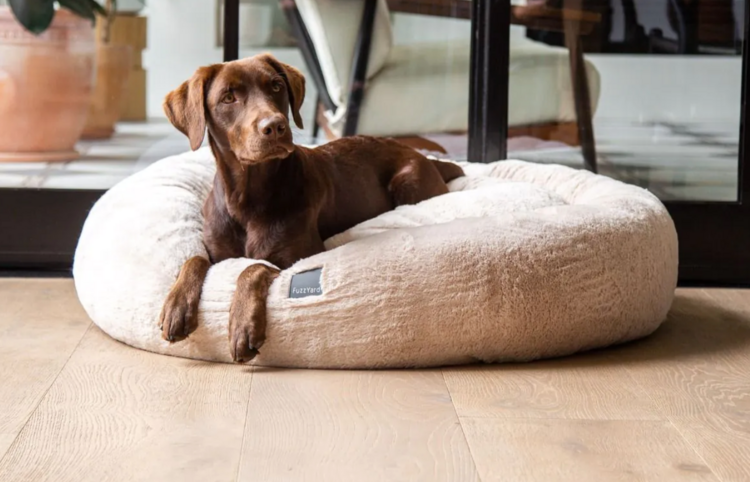 Fuzzyard Fuzzyard Cuddler - Winter Cream