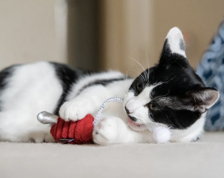 Pet Play Pet Play - Feline Frenzy - Twice As Mice