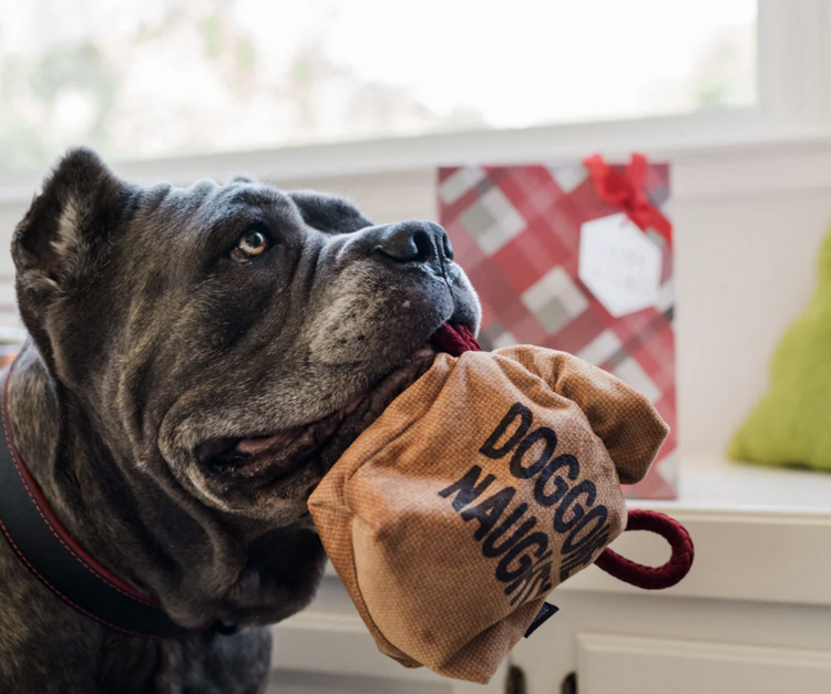 Pet Play Pet Play - Home For The Holidays - Bag Of Coal