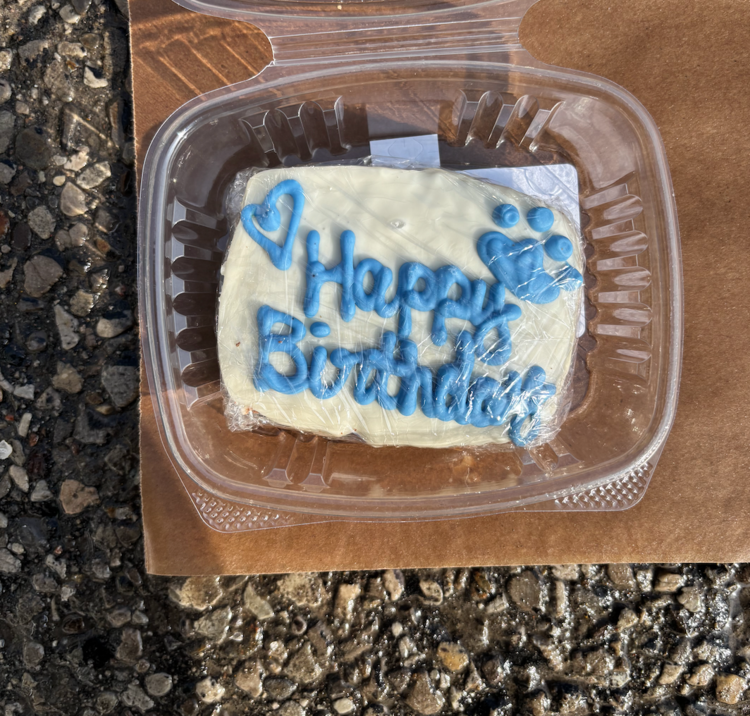 The Barkery The Barkery - Happy Birthday Cake -  Blue