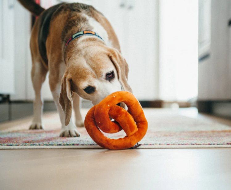 Pet Play Pet Play - Pretzel