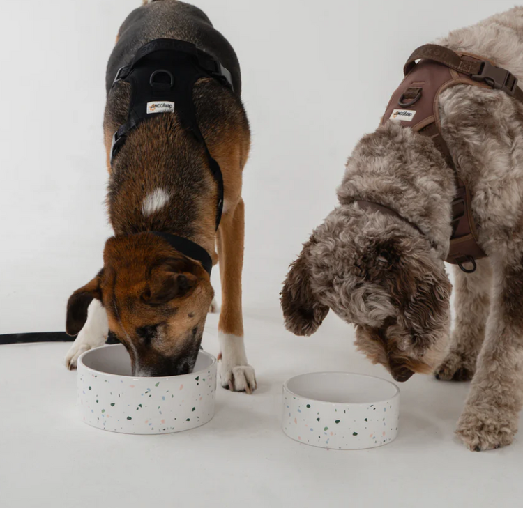 Dexy Paws Dexy Paws - Dog - Terrazzo - Ceramic Bowl - 26oz