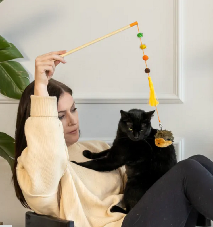 Zippy Paws Zippy Stick - Hedgehog