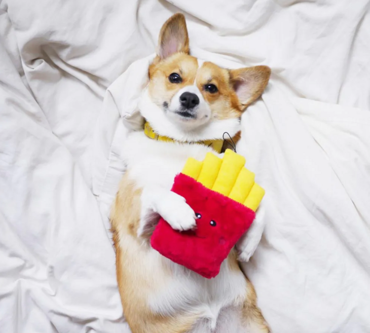 Zippy Paws Zippy Paws - Fries