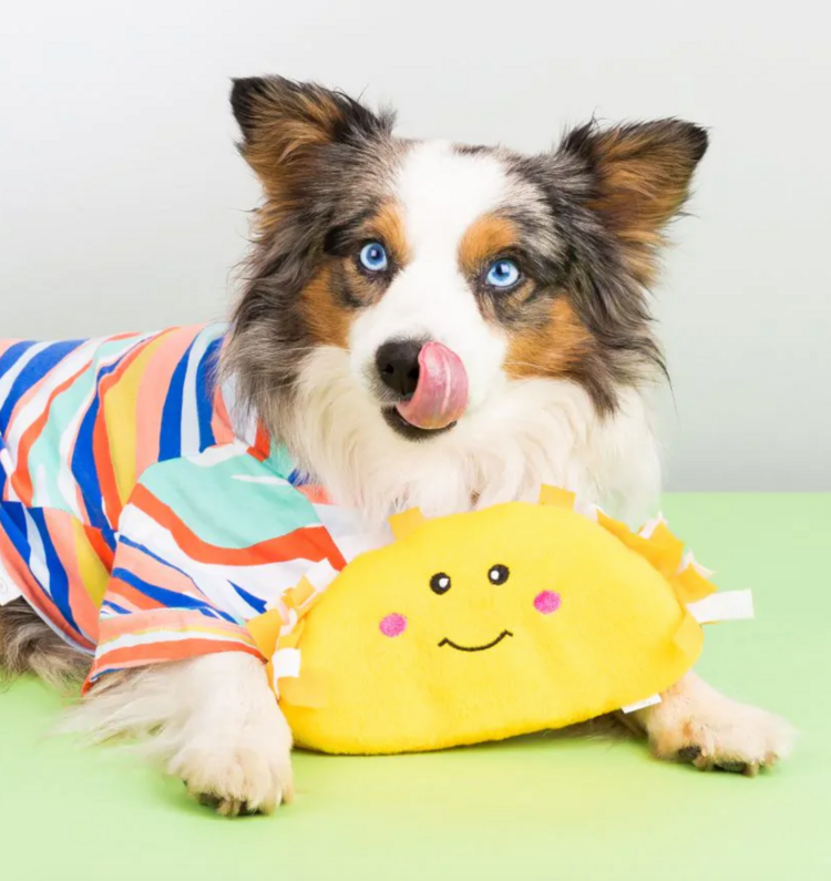 Zippy Paws Zippy Paws - Taco