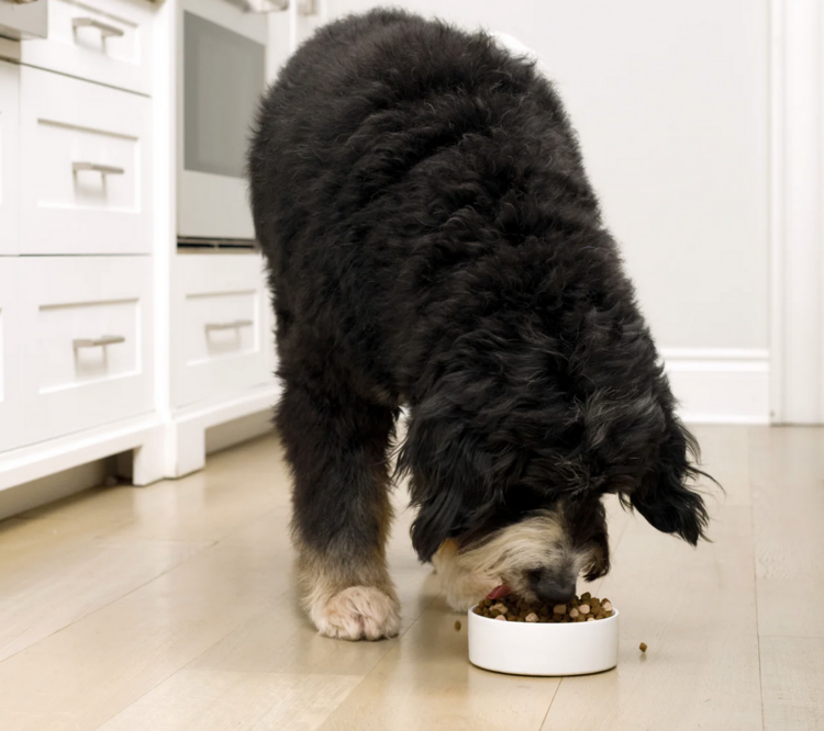 Open Farm Open Farm - Grain Free - RawMix - Tide & Terrain-