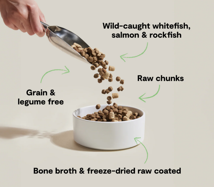 Open Farm Open Farm - Grain Free - RawMix - Wild Ocean -