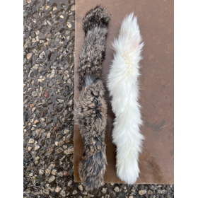 Just Raw Just Raw - Rabbit Hide - 7"-9"