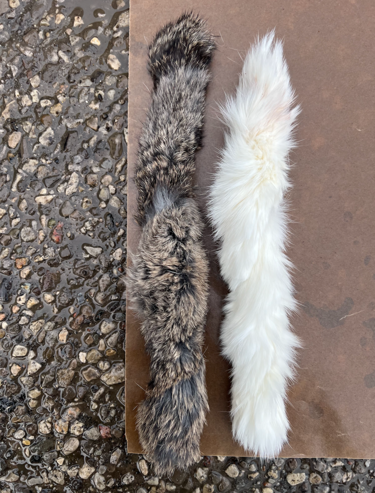Just Raw Just Raw - Rabbit Hide - 7"-9"