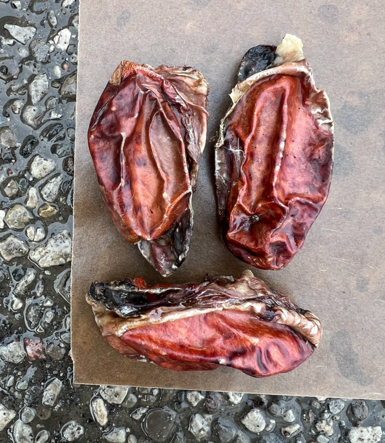 Just Raw Just Raw - Dehydrated - Beef Testicals - 1pc