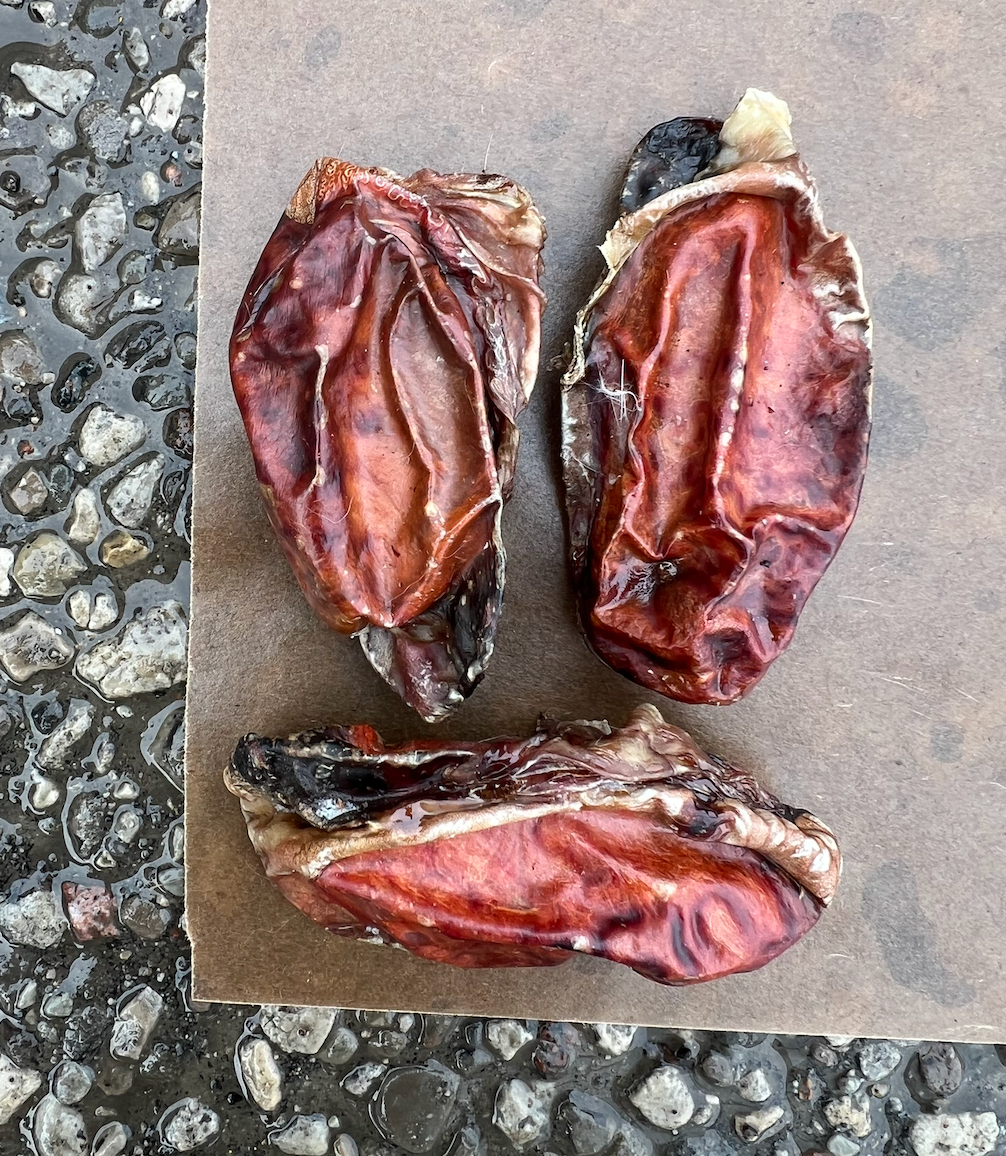 Just Raw Just Raw - Dehydrated - Beef Testicals - 1pc