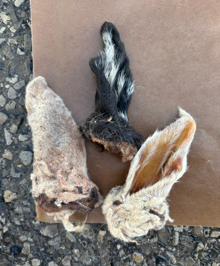 The Proper K9 Proper K9 - Lamb Ear w/fur