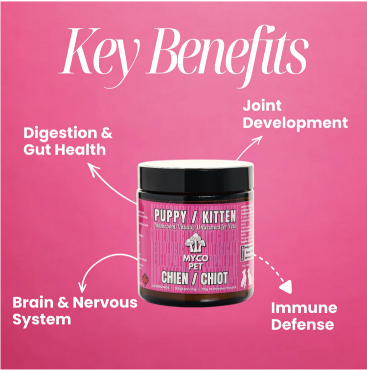 Myco Pet Myco Pet - Puppy / Kitten - 30g