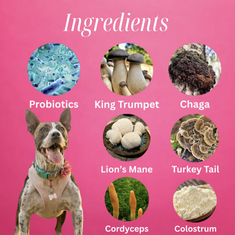 Myco Pet Myco Pet - Puppy / Kitten - 30g