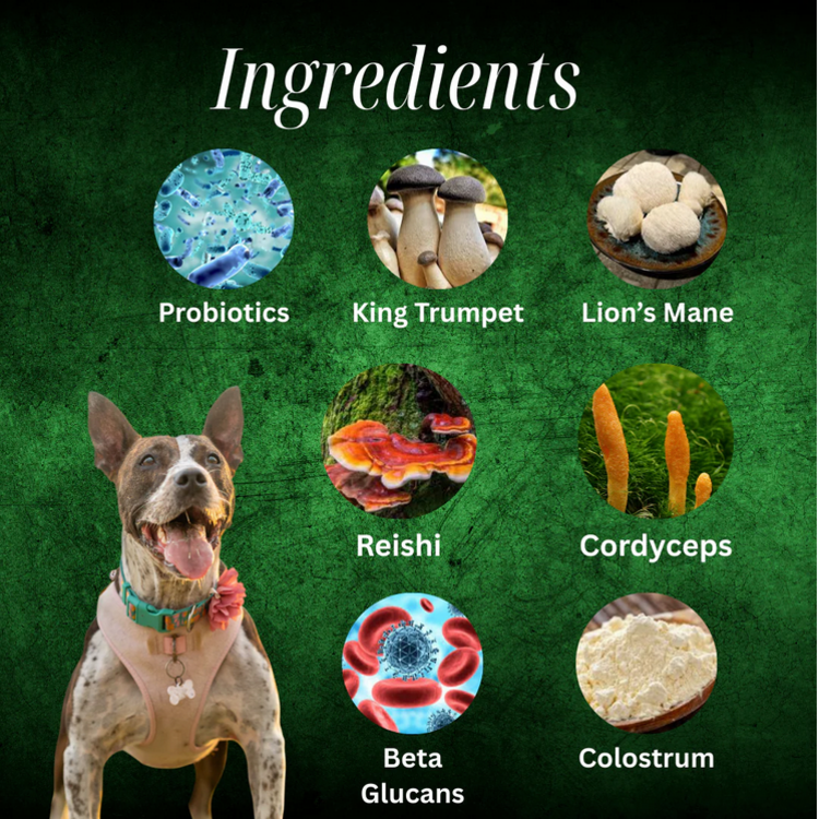 Myco Pet Myco Pet - Joint & Mobility - 30g