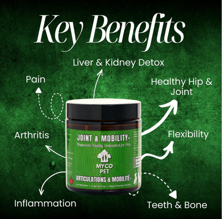 Myco Pet Myco Pet - Joint & Mobility - 30g