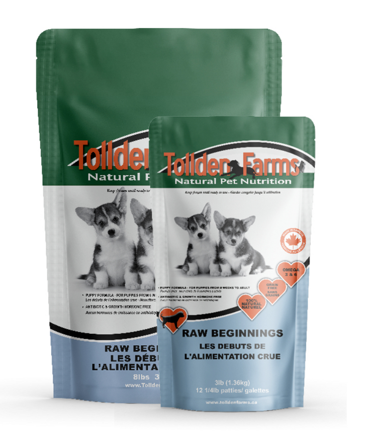 Tollden Tollden Farms - Raw Beginnings - Puppy