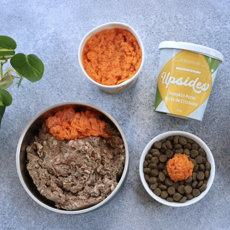 big country raw BCR - Upsides - Pumpkin Puree - 454g