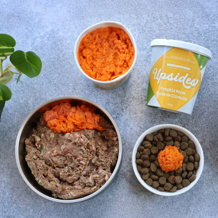 big country raw BCR - Upsides - Pumpkin Puree - 454g