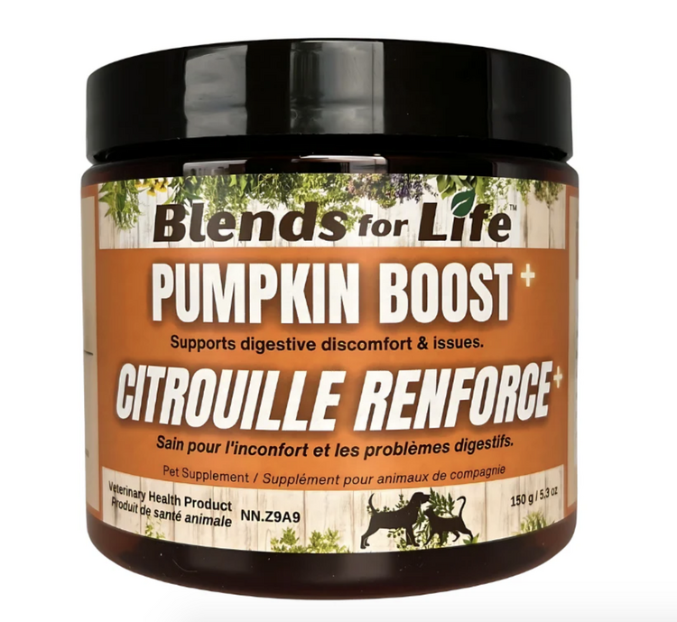 Blends For Life Blends For Life - Pumpkin Boost -