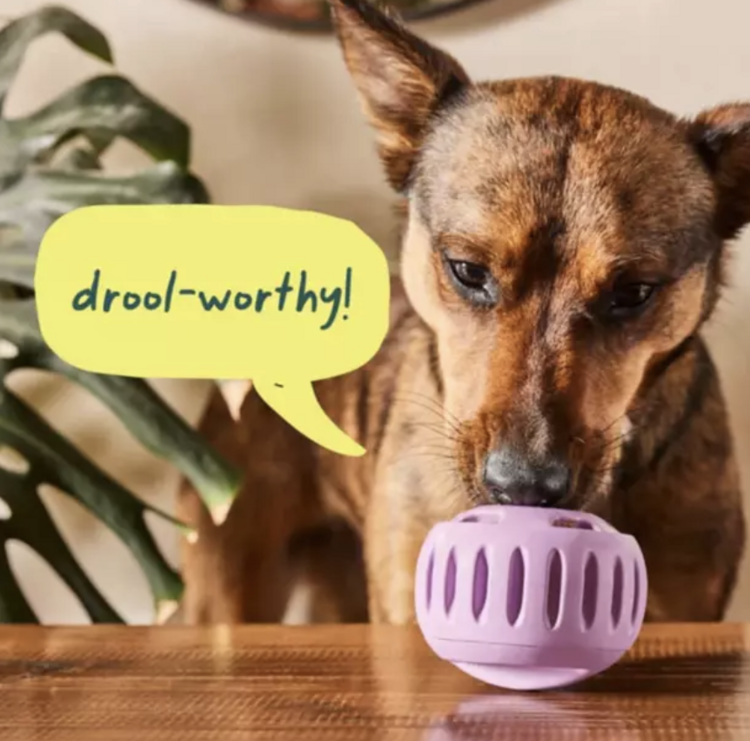 Woof Woof - Pupsicle - Lavender large