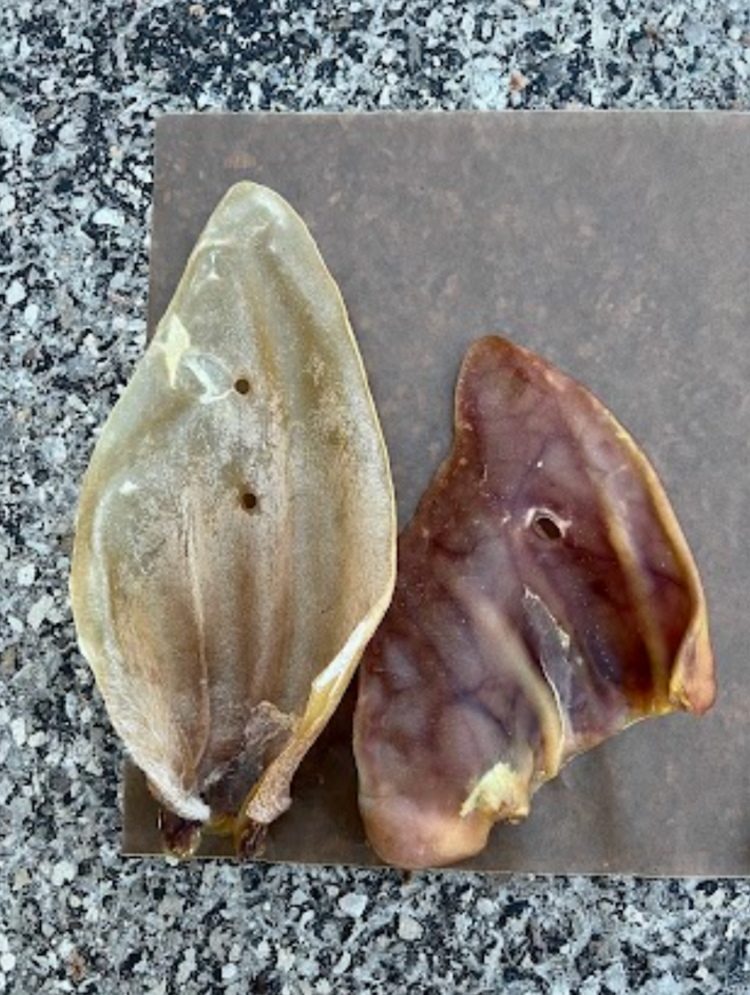 Nature's Own Nature's Own - Pig Ear JUMBO - 1pc