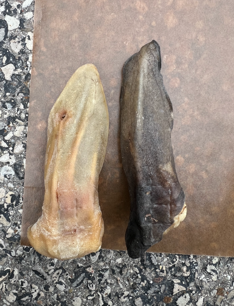 Just Raw Just Raw - Lamb Ear - 1pc