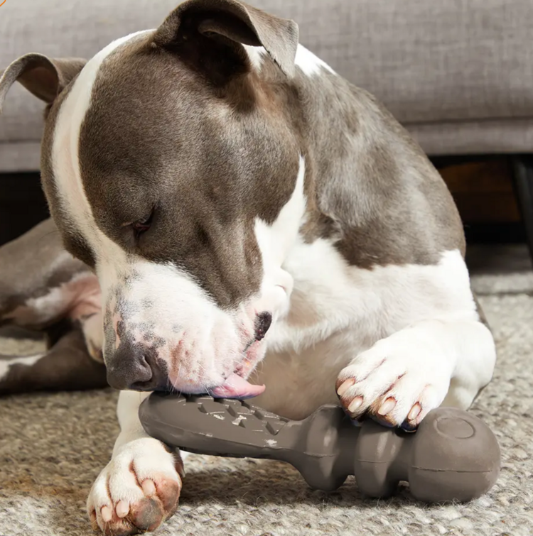 Bark Bark - PB Beaver - MED/LARGE