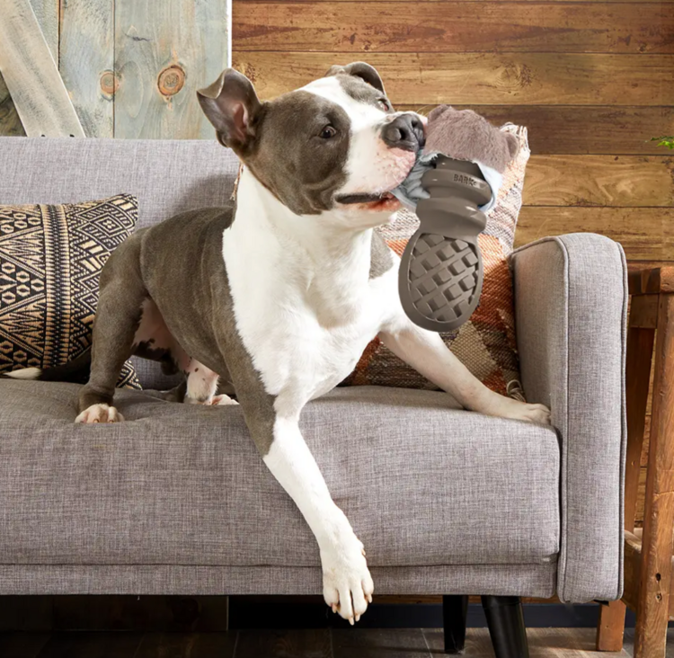 Bark Bark - PB Beaver - MED/LARGE