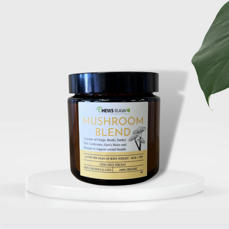 Chews Chews - Mushroom Blend -