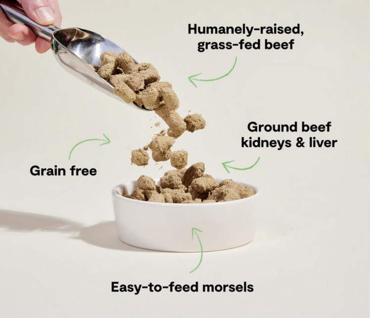 Open Farm Open Farm - Freeze Dried - Beef