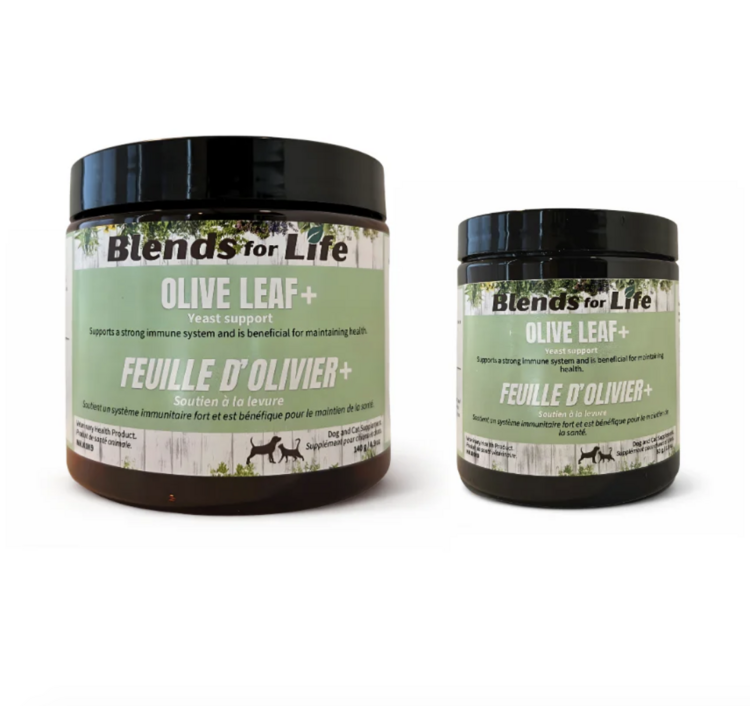 Blends For Life Blends For Life - Olive Leaf -