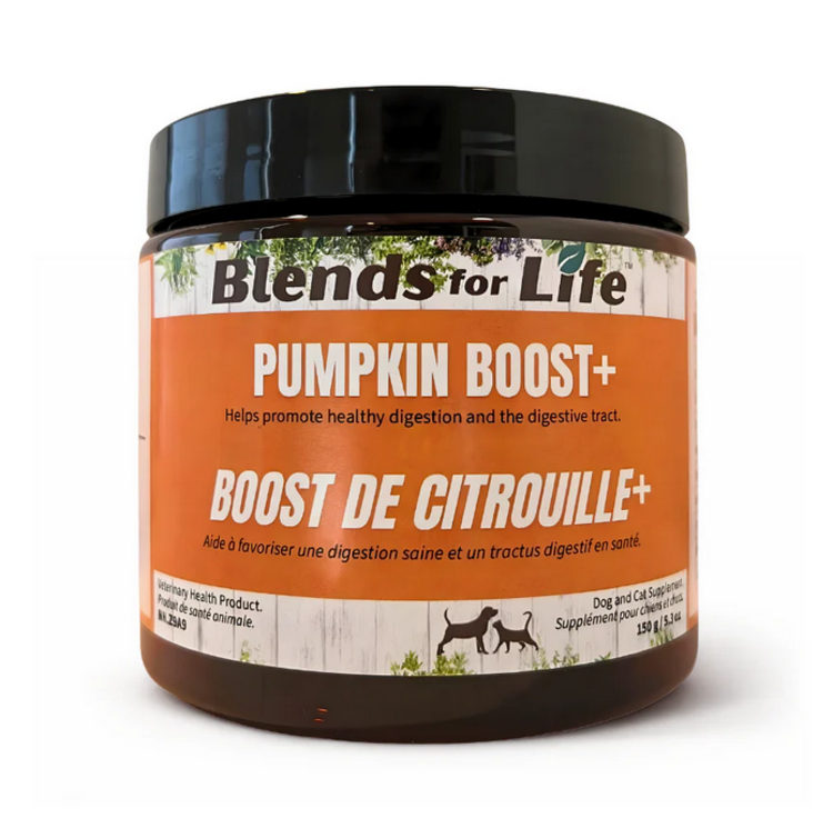 Blends For Life Blends For Life - Pumpkin Boost -