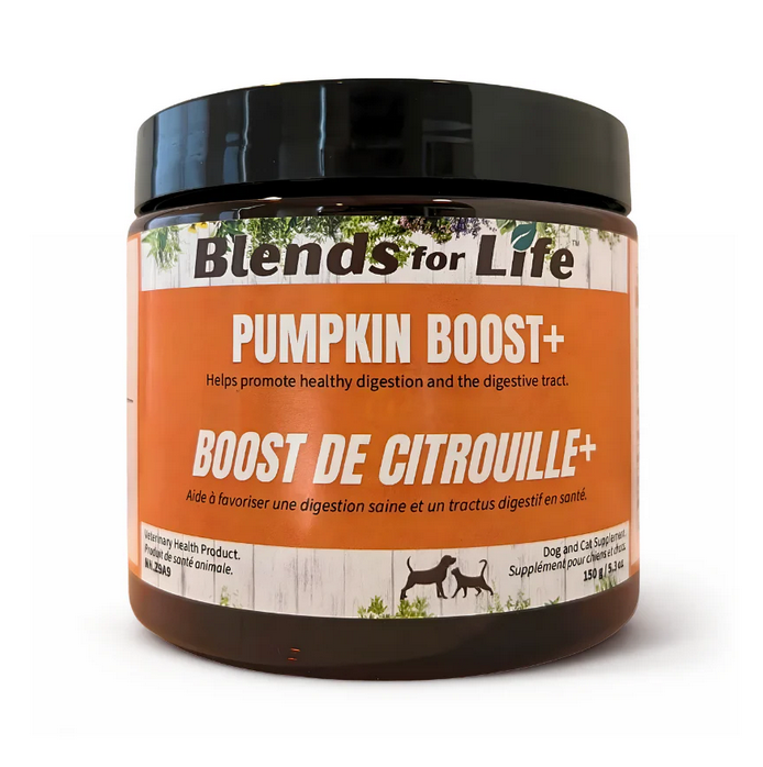 Blends For Life Blends For Life - Pumpkin Boost -