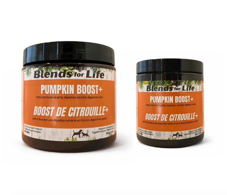 Blends For Life Blends For Life - Pumpkin Boost -