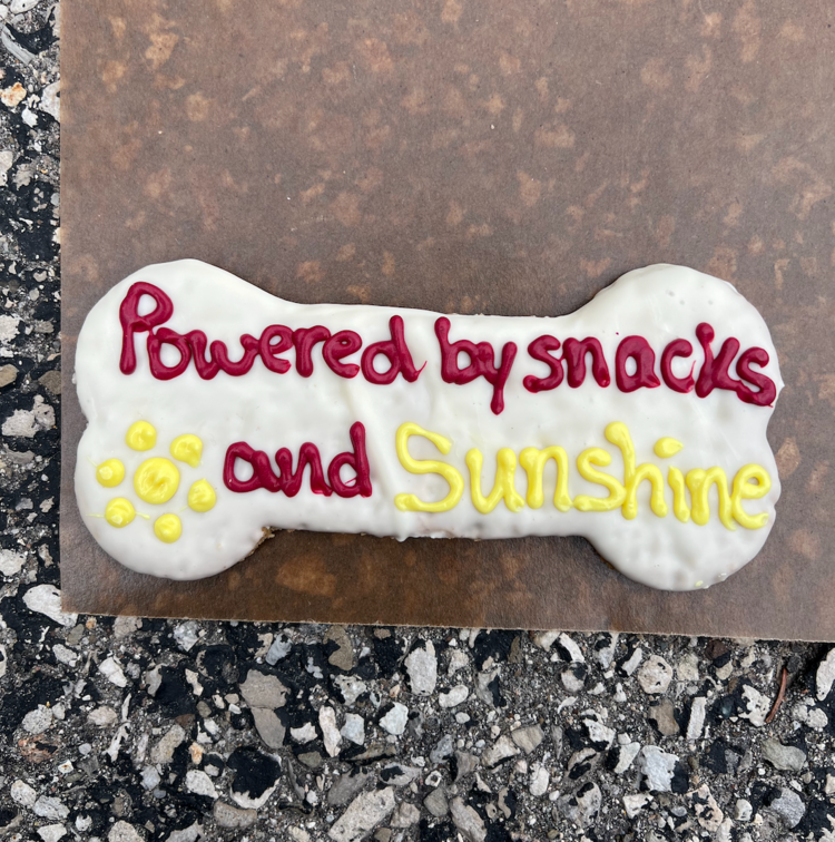 The Barkery The Barkery - XL - Summer Bone