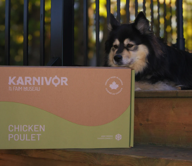 Faim Museau Faim Museau - Karnivor - Chicken - 24lb