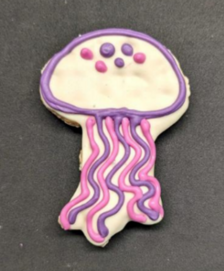 The Barkery The Barkery - Jelly Fish