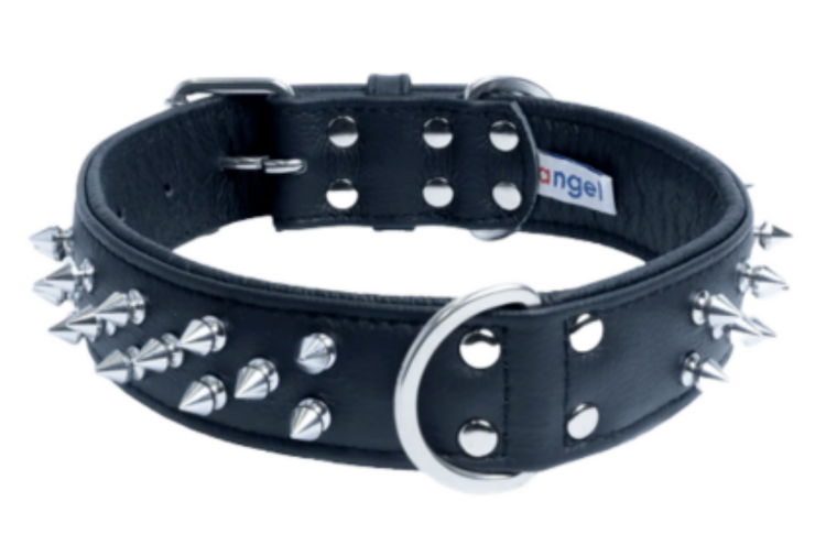 Angel Angel - Amsterdam Collar - 28"X2" - Midnight Black