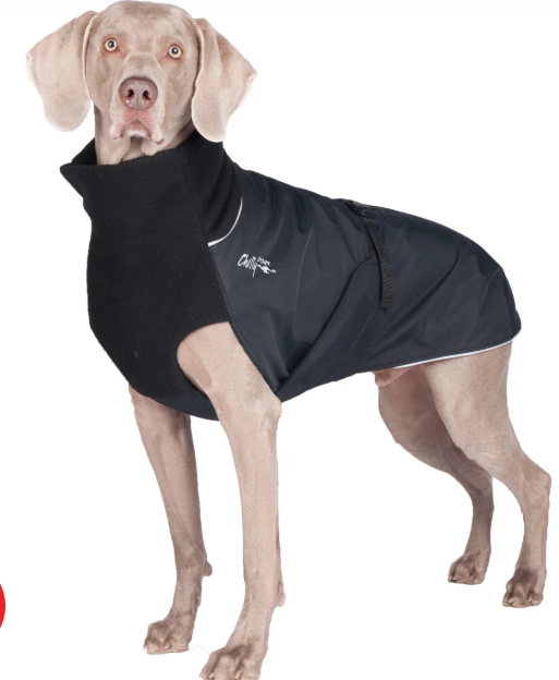 Chilly Dogs Chilly Dogs - GWN - Standard - Harness Hole - Black and Black - 14