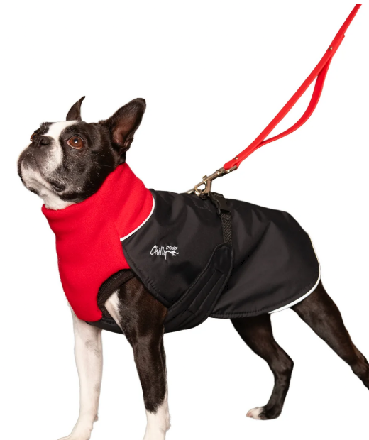 Chilly Dogs Chilly Dogs - GWN - Standard - Harness Hole - Red and Black - 24